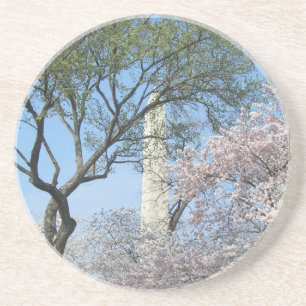 Porta-copos De Arenito Cerejeiras em flor e o Monumento a Washington em D