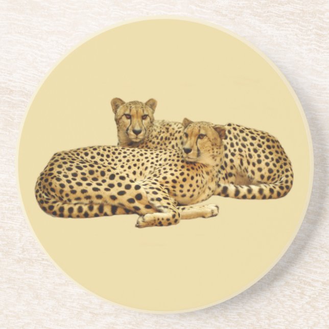 Porta-copos De Arenito Cheetahs (Frente)