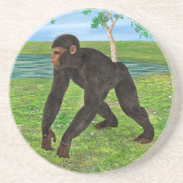 Porta-copos De Arenito Chimpanzé (Frente)