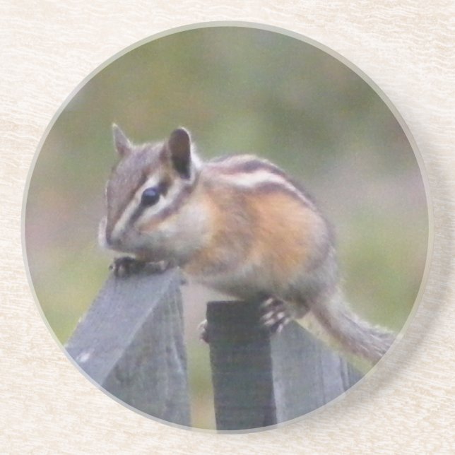Porta-copos De Arenito Chipmunk (Frente)