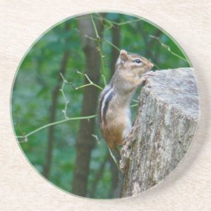 Porta-copos De Arenito Chipmunk Oriental no Stump