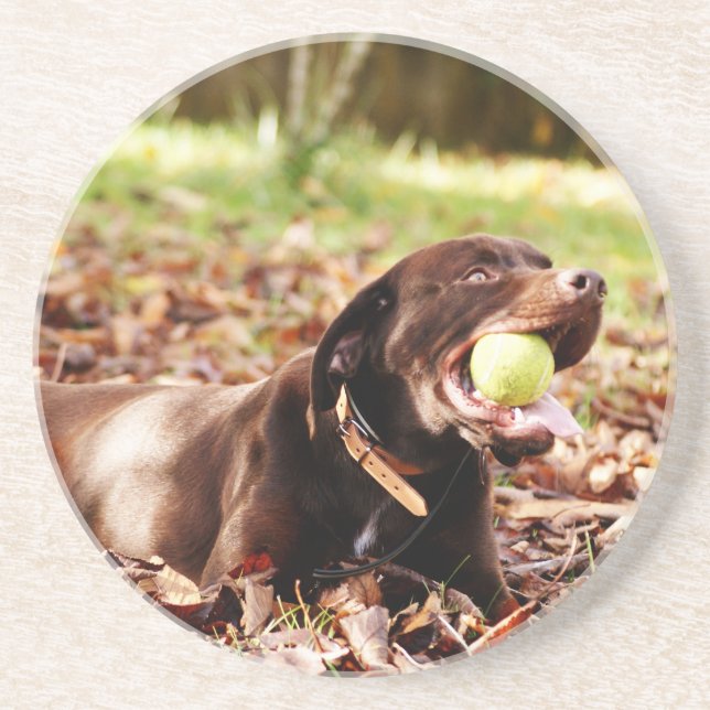 Porta-copos De Arenito Chocolate Labrador Brincando Com Bola (Frente)