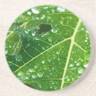 Porta-copos De Arenito Chuva cai na folha de Papaya Verde