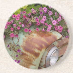 Porta-copos De Arenito Columbia Falls