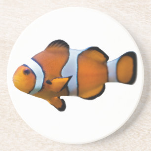 Porta-copos De Arenito Copo de Peixe-Palhaço