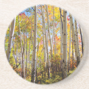 Porta-copos De Arenito Cores de outono das árvores Aspen 5