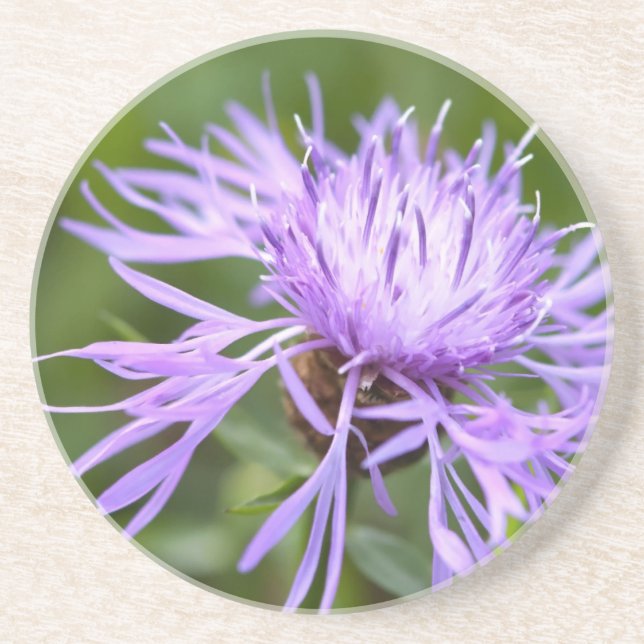 Porta-copos De Arenito Cornflower Roxo (Frente)