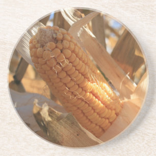 Porta-copos De Arenito Corno de Campo no Palco