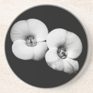 Porta-copos De Arenito coroa de espinhos