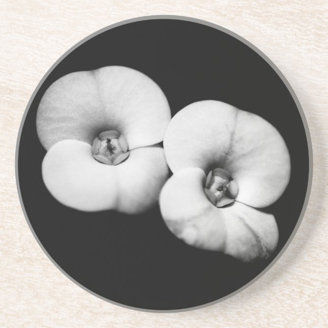 Porta-copos De Arenito coroa de espinhos (Frente)