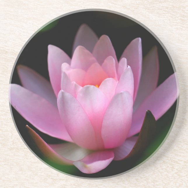 Porta-copos De Arenito coster da flor (Frente)