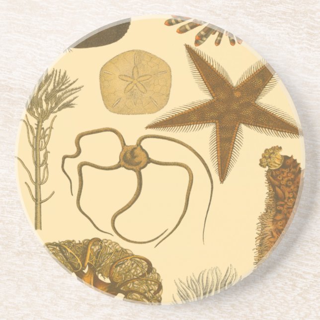 Porta-copos De Arenito Criaturas do Mar Subaquático (Frente)