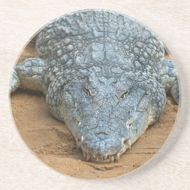 Porta-copos De Arenito Crocodilo (Frente)