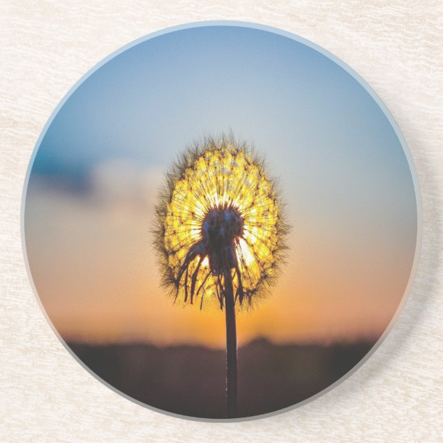 Porta-copos De Arenito Dandelion no nascer do sol (Frente)