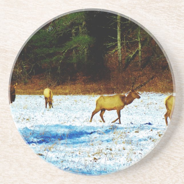 PORTA-COPOS DE ARENITO DSC00131.JPG (Frente)