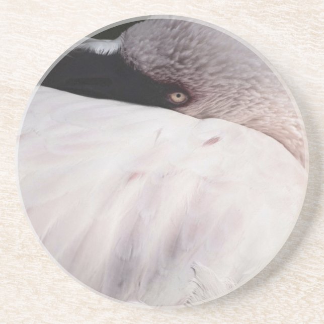 Porta-copos De Arenito Efeito de desenho de retrato de flamingo rosa Arte (Frente)