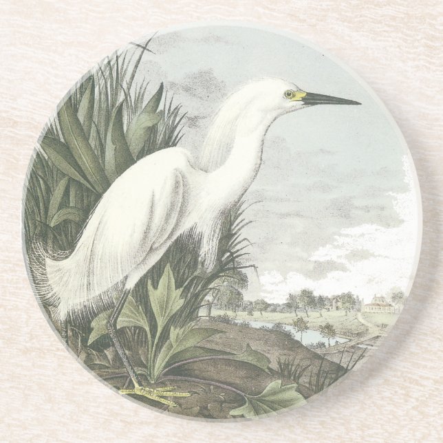 Porta-copos De Arenito Egret nevado, John Audubon (Frente)