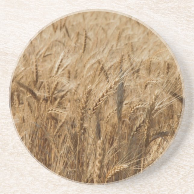 Porta-copos De Arenito Erick, rota 66 de Oklahoma (Frente)