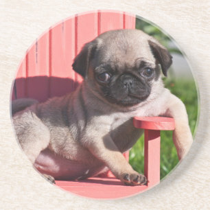 Porta-copos De Arenito EUA, Califórnia. Pug cachorrinho desleixado