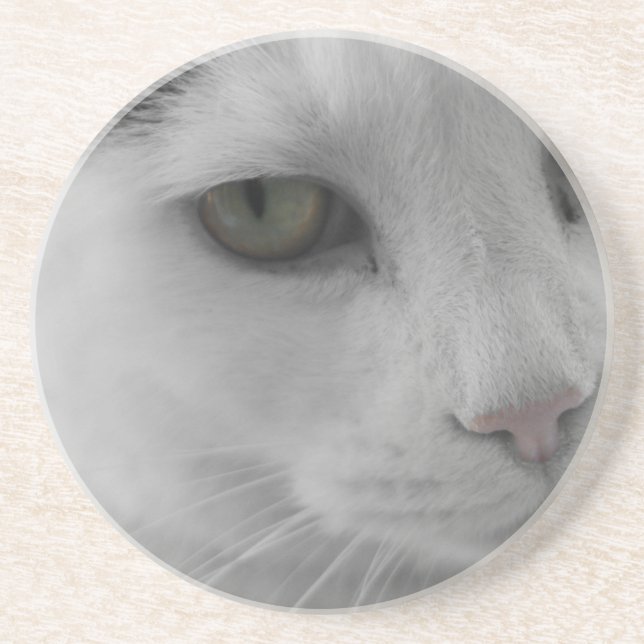 Porta-copos De Arenito Face de gatos brancos e pretos (Frente)