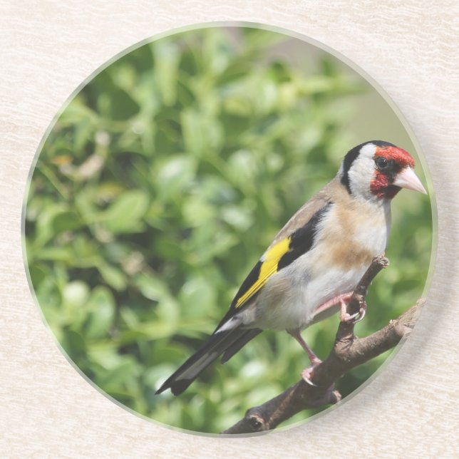 Porta-copos De Arenito FInch (Frente)
