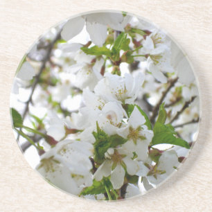 Porta-copos De Arenito Flor branco Elegante Flores brancas Flores brancas