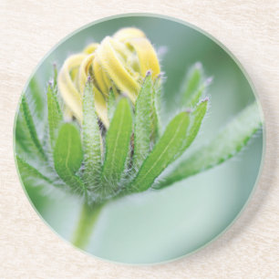 Porta-copos De Arenito Flor De Abertura Da Flor Cone