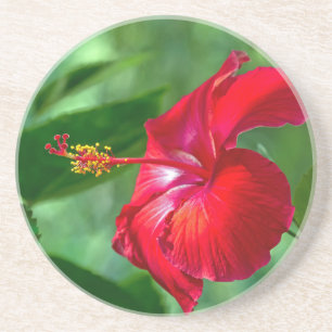 Porta-copos De Arenito Flor de Hibiscus