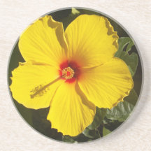 Flor de Hibiscus Amarelo