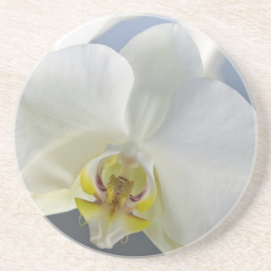 Porta-copos De Arenito Flor de Orquídea Branca