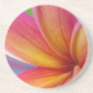 Porta-copos De Arenito Flor Tropical de Plumeria Cor-de-rosa-Profundo ama