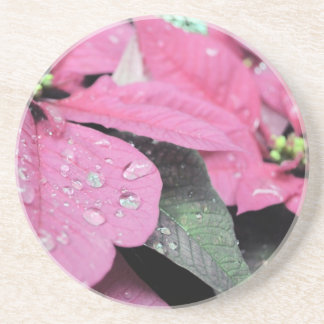 Porta-copos De Arenito Flores