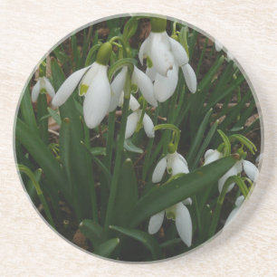Porta-copos De Arenito Flores de primavera Brancas I (Galanthus)
