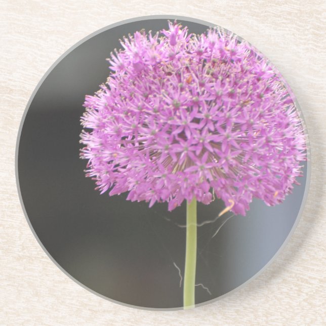 Porta-copos De Arenito Flores para Todos (Frente)