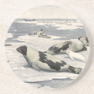 Porta-copos De Arenito Focas Harpa Vintage na Neve Ártica por Louis Fuert