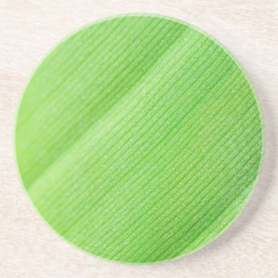 Porta-copos De Arenito Folha de banana jovem verde