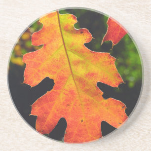 Porta-copos De Arenito Folha de Carvalho em Seis Rios