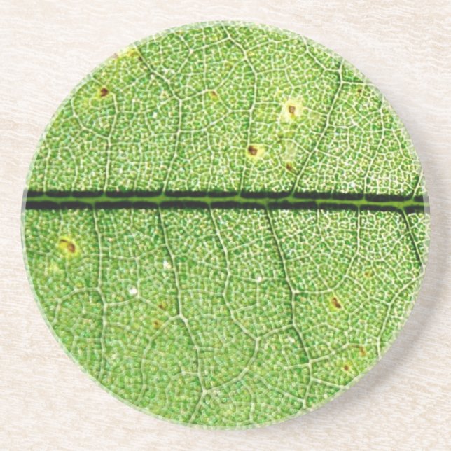 Porta-copos De Arenito Folha Verde Extreme (Frente)