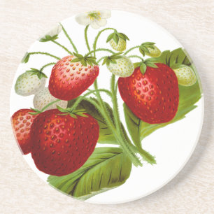 Porta-copos De Arenito Folhas de folhas de fruta comida