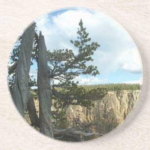 Porta-copos De Arenito Fotografia do Parque Nacional Yellowstone.