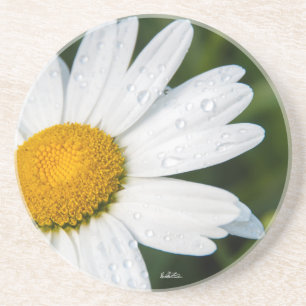 Porta-copos De Arenito fotografia, um margueritte, fazem verde