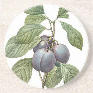 Porta-copos De Arenito Frutas Alimentícias Antigas, Ameixas de Jardim Rox
