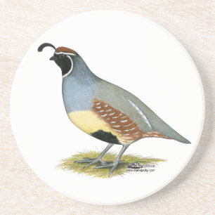 Porta-copos De Arenito Gambel's Desert Quail