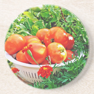 Porta-copos De Arenito Garden Goodies