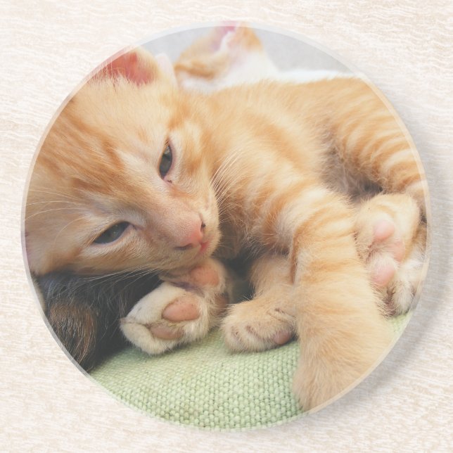 Porta-copos De Arenito Gatinho De Gelado De Tigre (Frente)