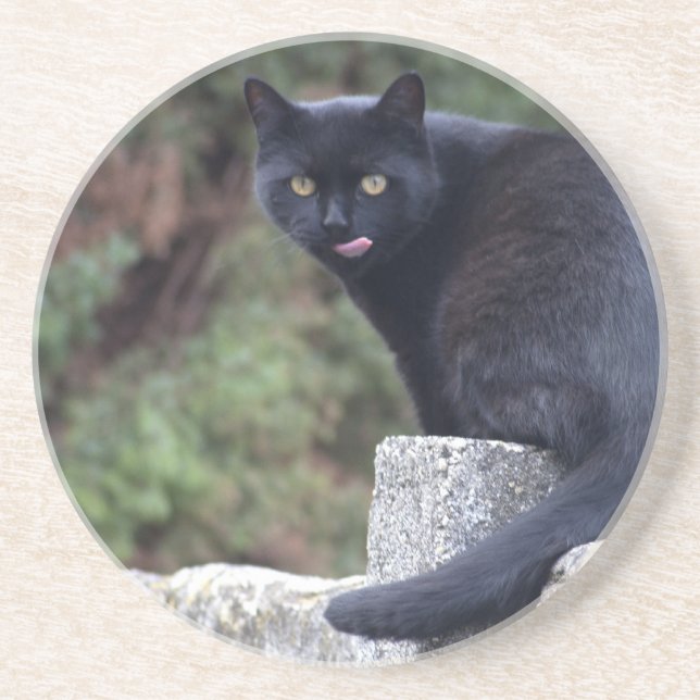 Porta-copos De Arenito Gato Negro (Frente)