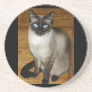 Porta-copos De Arenito Gato Siames Animal de Estimação Escritório Paz Amo