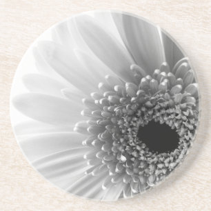 Porta-copos De Arenito Gerbera Daisy