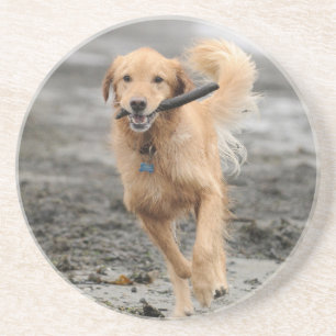 Porta-copos De Arenito Golden Retriever Correndo Com Pau Na Boca