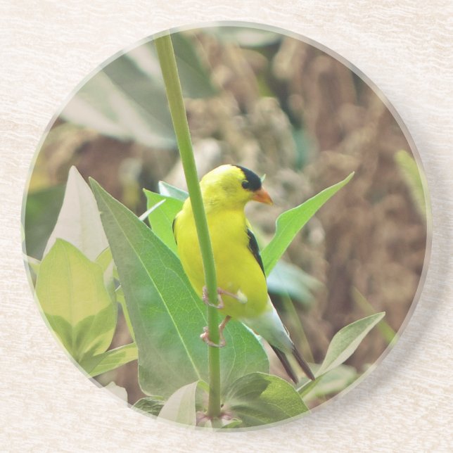 Porta-copos De Arenito Goldfinch (Frente)